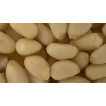 Organic Pine Nuts